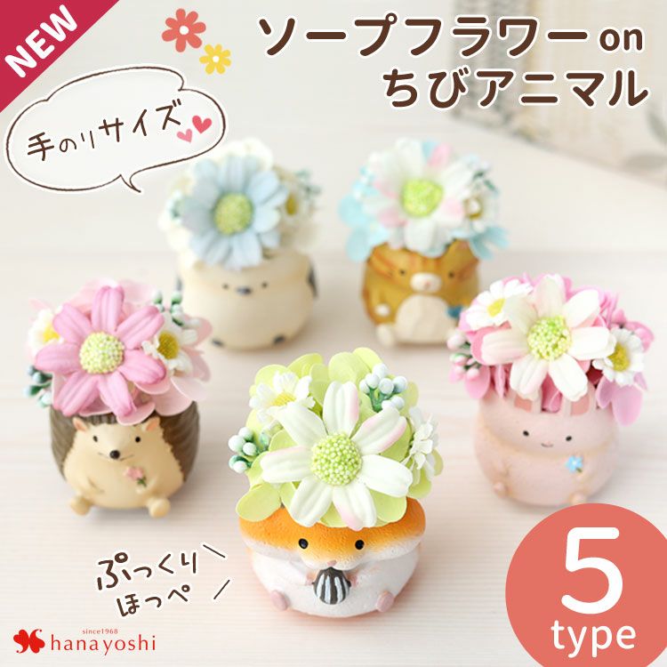 000000001097-01-l.jpg?t=