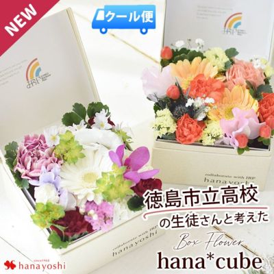 限定販売》TOKYO花キューブ詰合せ 4個セット 【B3306】 ｜商品