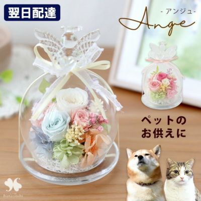 お供え プリザーブドフラワー 天使のガラスドーム アンジュ