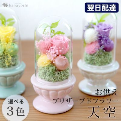 送料無料 お供え 仏花 プリザーブドフラワー ドーム 天空 選べる3種類