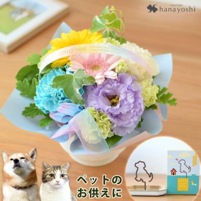 お供え 生花アレンジメント charite-シャリテ ＆ ペットのお線香セット