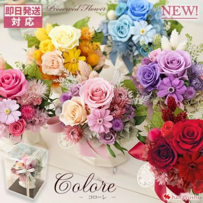 プリザーブドフラワー | フラワーマーケット花由公式サイト