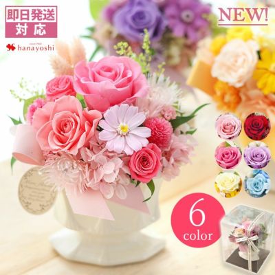 プリザーブドフラワー Colore コローレ ケース入り