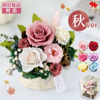 プリザーブドフラワー Colore コローレ ケース入り
