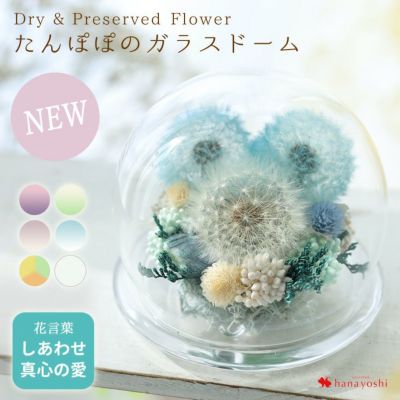 プリザーブドフラワー ドライフラワー たんぽぽのガラスドーム