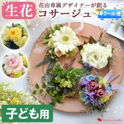 [冷蔵便]でお届け 送料無料  生花 コサージュ ＜子ども用＞ 色合いが選べる♪花屋におまかせ！ 
