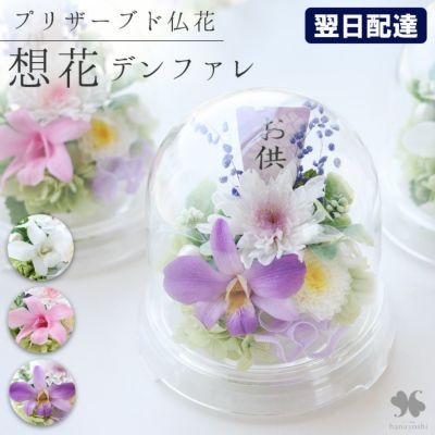 プリザーブドフラワー お供えドーム 想花 デンファレ