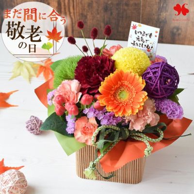 お花々＊様 ❣️お知らせ❣️】 今年もホロツリが開催決定🎉 『 #ホロツリ