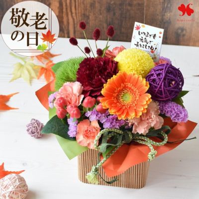 [冷蔵便] 敬老の日 2025 送料無料 敬老の日限定 生花アレンジ Sサイズ