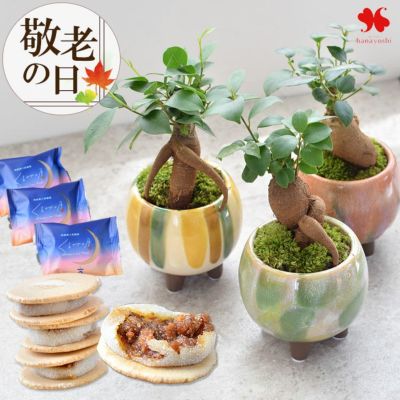 キーフラワー　基本＋　拡張2つ(農夫たち、商人たち) キーマーケット　4点セット キーフラワー 基本＋ 拡張2つ(農夫たち、商人たち) キー