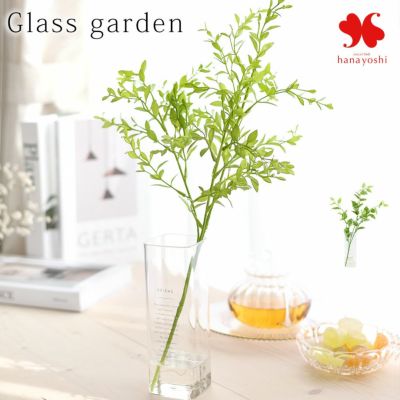 NEW マジカルウォーター グラスガーデン ロング ルスカス ホヤリーフ